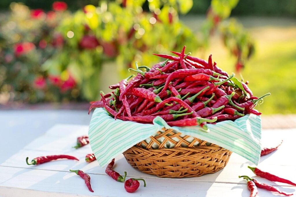 cayenne pepper and chickens