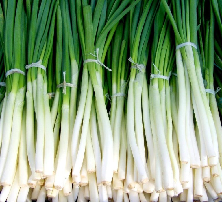 can chickens have green onions