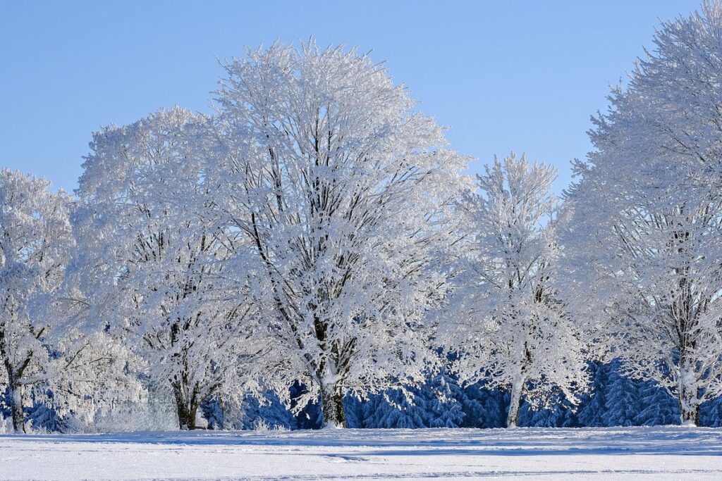 does cold weather affect chickens laying eggs