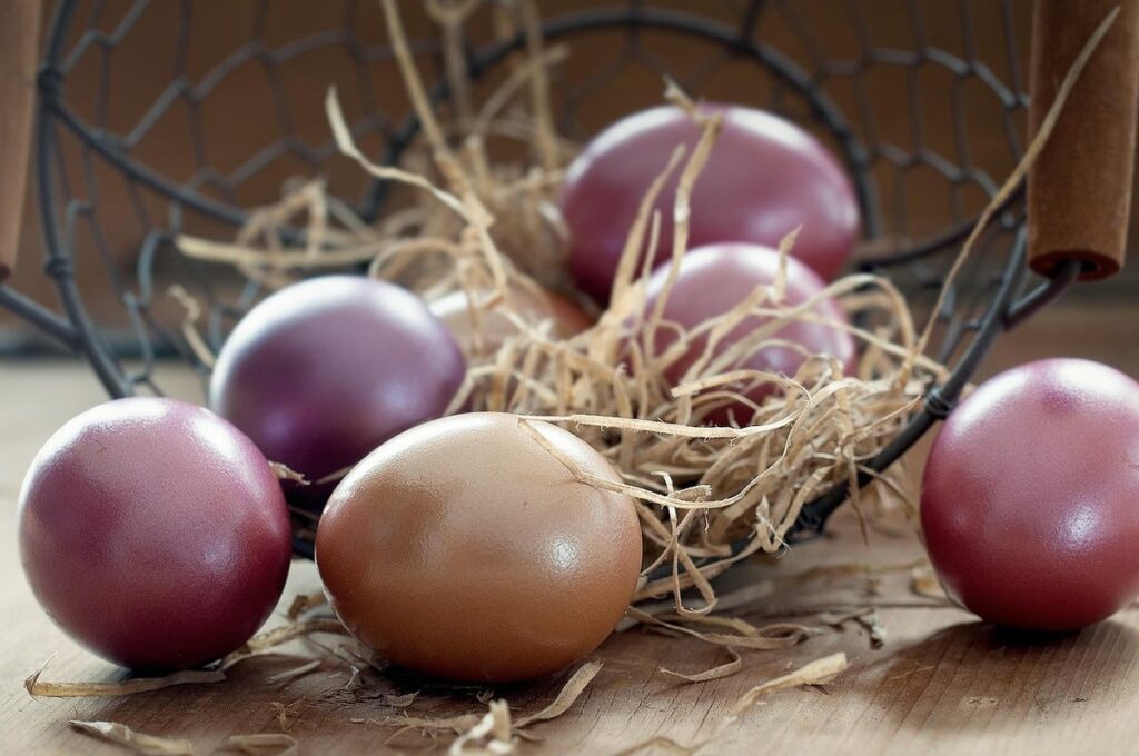 why are eggs different colors