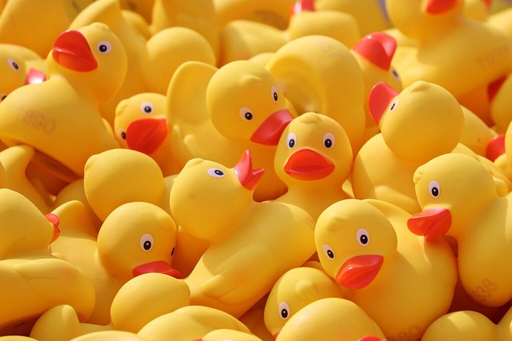 duck coop with pond