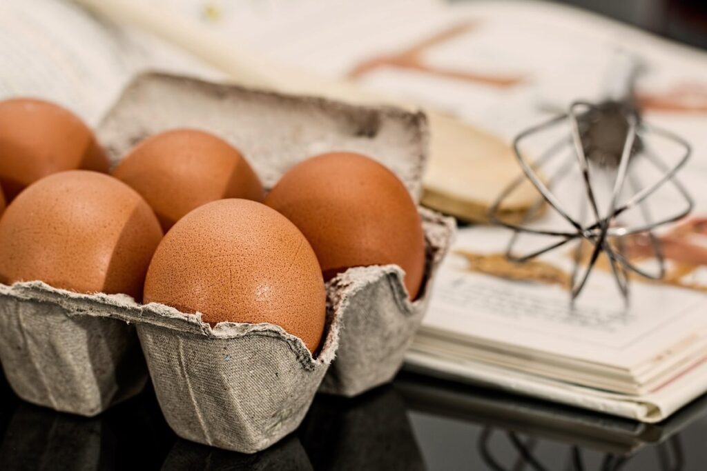 egg cartons and labels