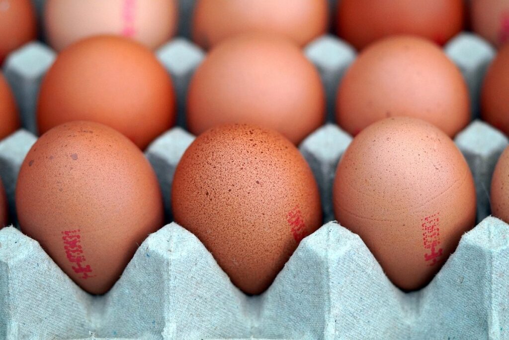 egg crates for chicken eggs