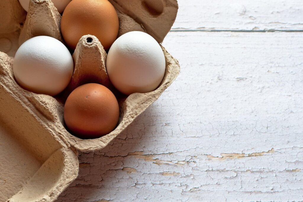 how old are store eggs