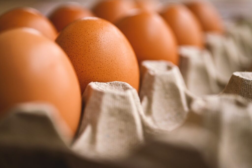 chicken egg colors by breed