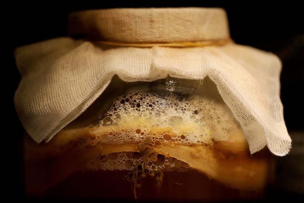 fermented food for chickens