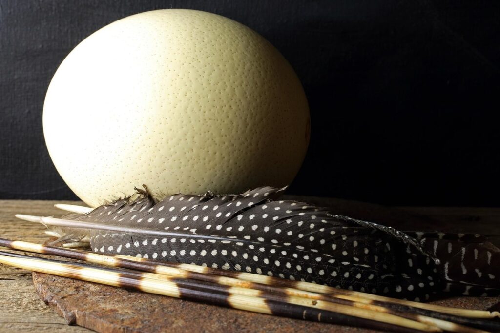 hatching guinea fowl eggs