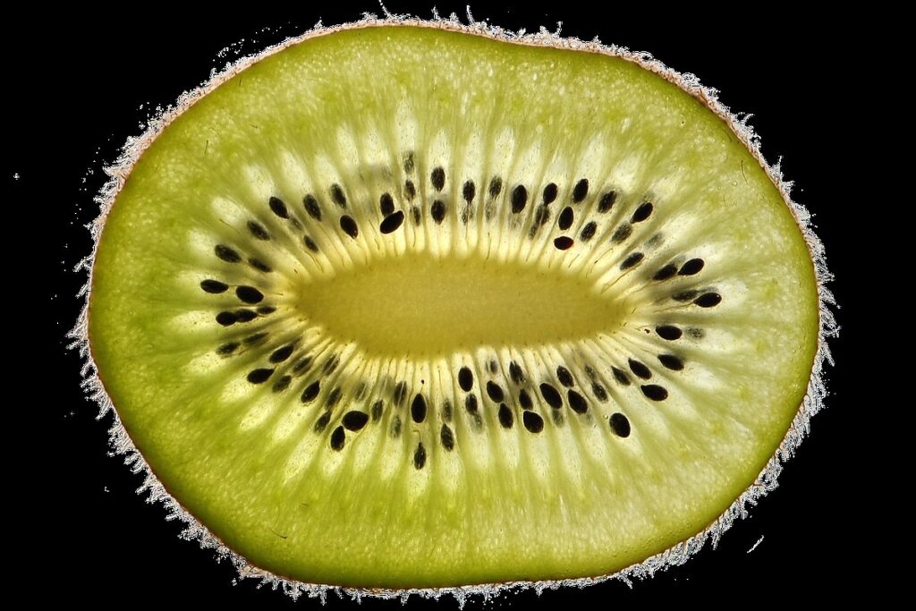 can hens eat kiwi fruit