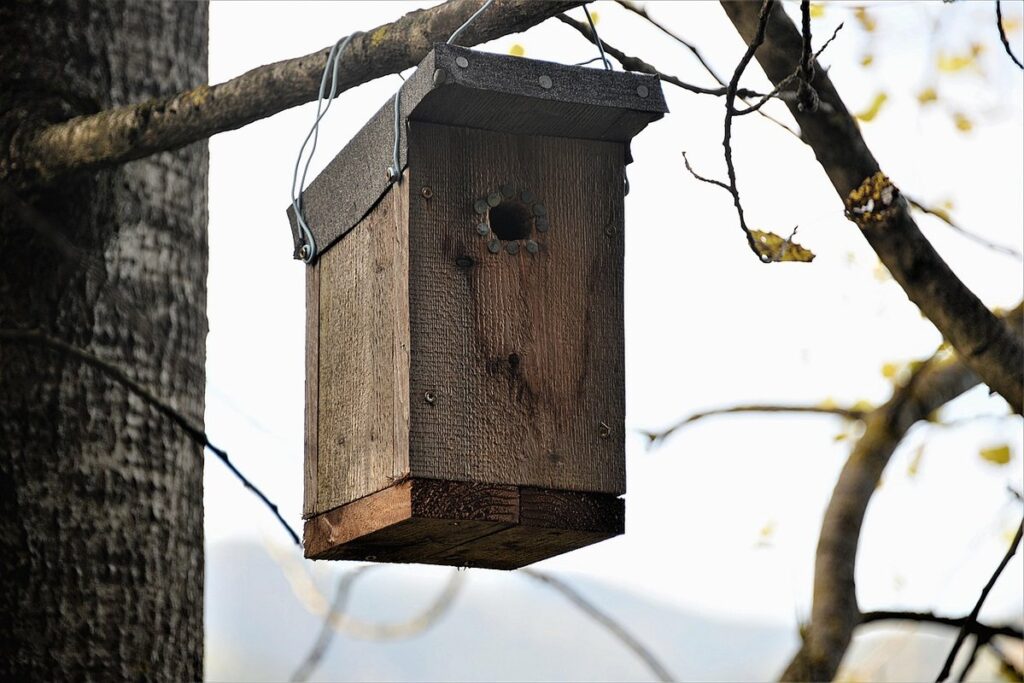 nesting box size