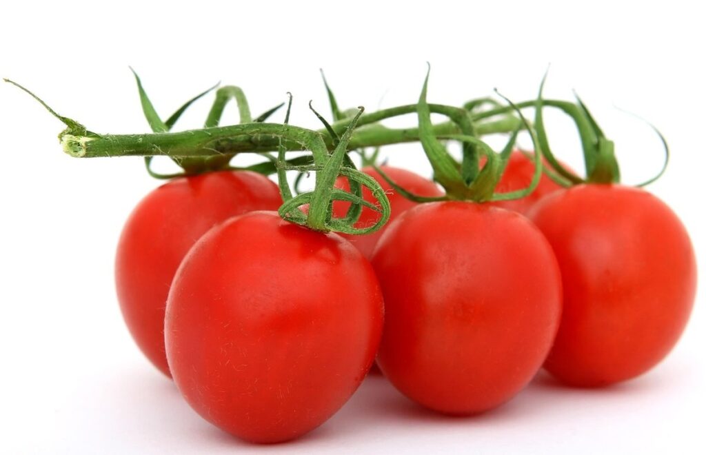 organic chook food