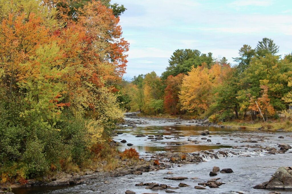 red new hampshire