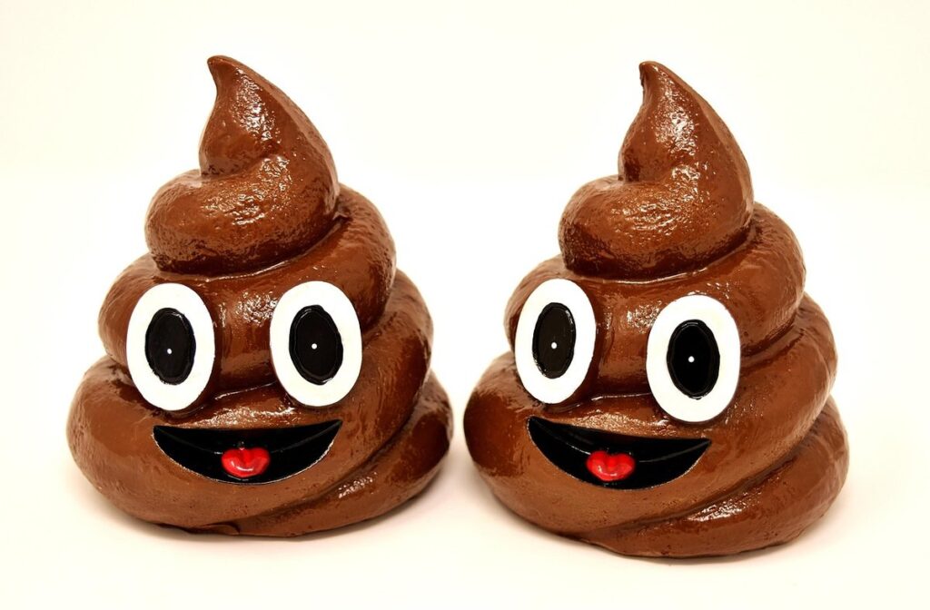 reddish chicken poop