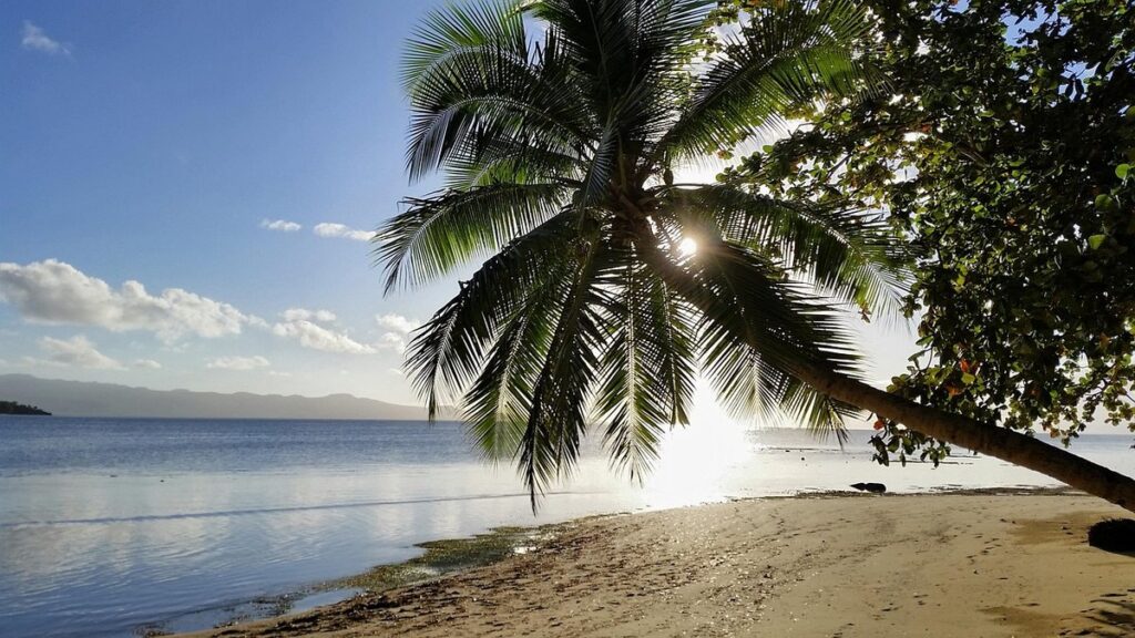 birds of fiji