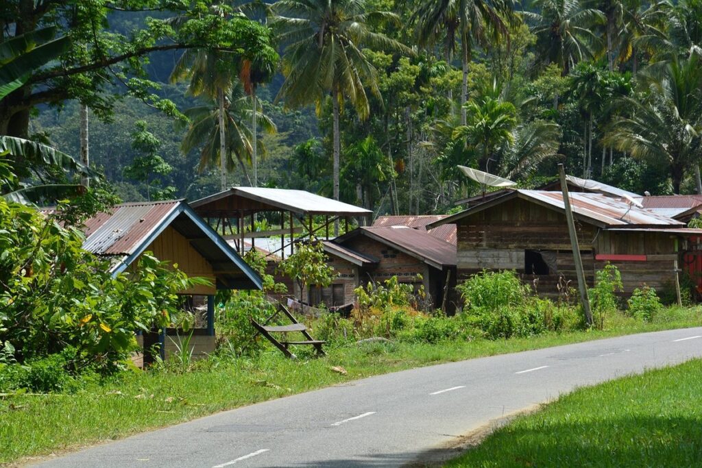black sumatra