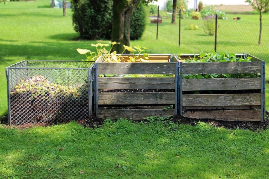 chicken droppings compost