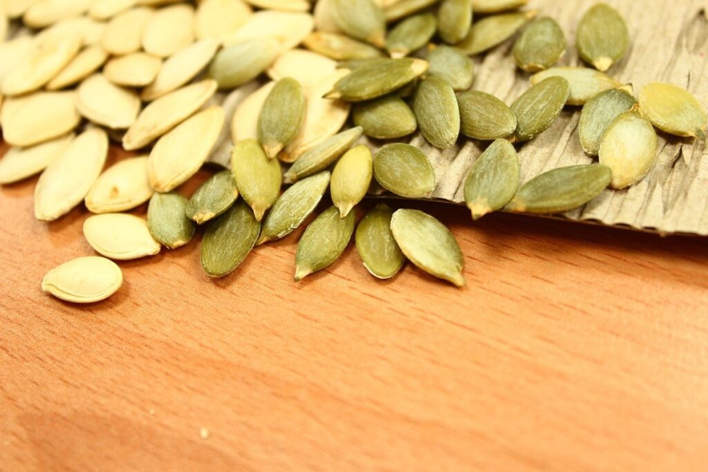 can chicken eat pumpkin seeds