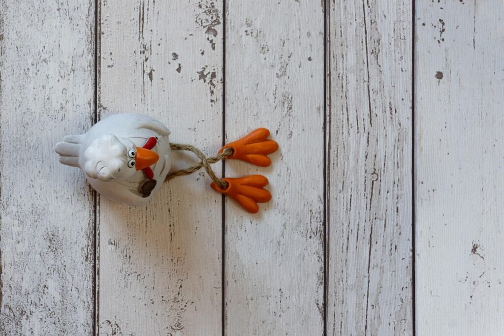 how to wrap a chickens foot
