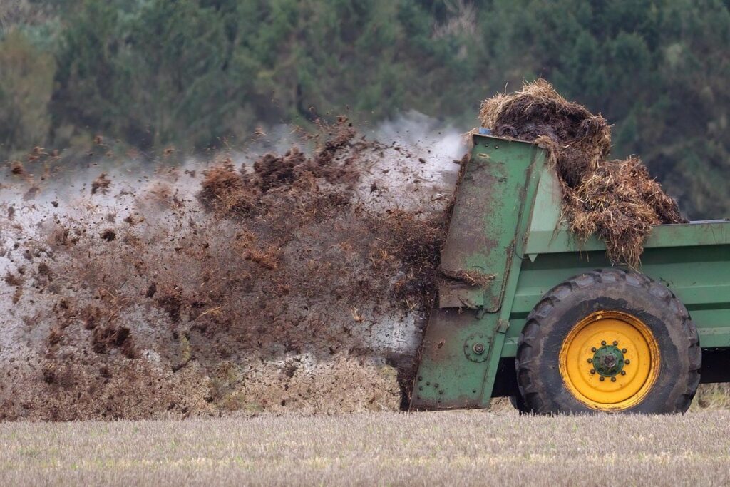 chicken manure for compost