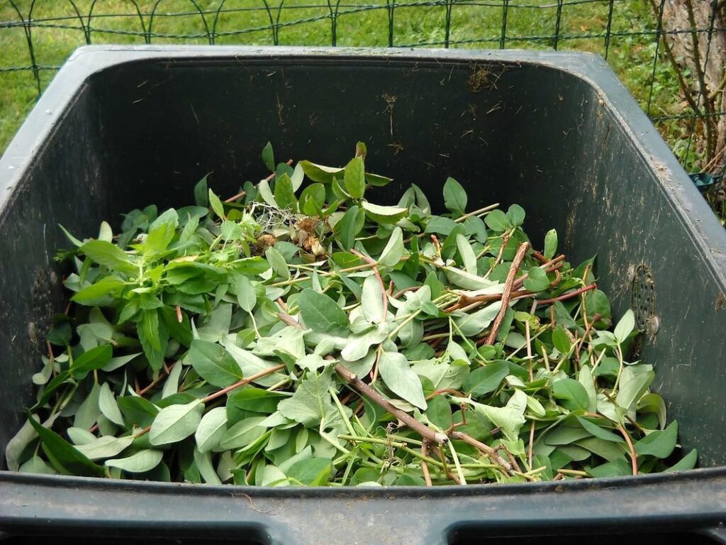 how to compost chicken manure