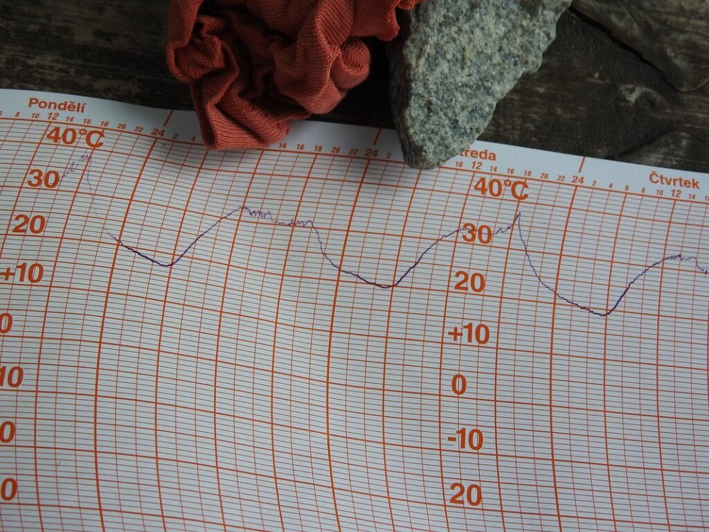 chick age temperature chart