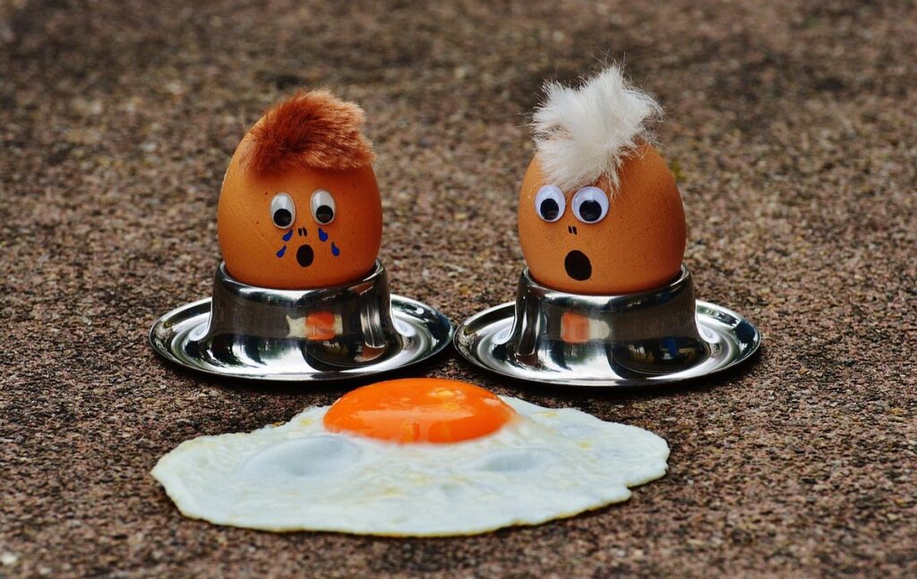 egg protein