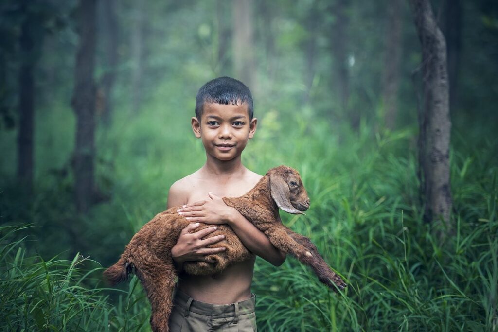 goat care and management