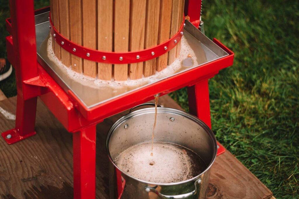 apple cider vinegar for hens