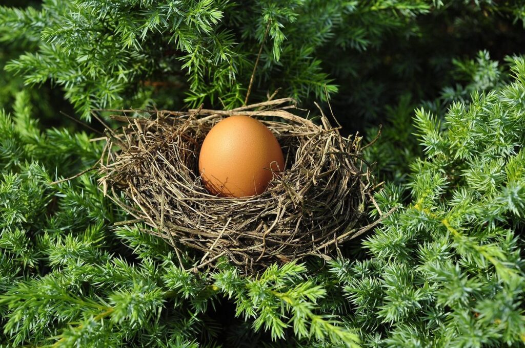 iodine in eggs
