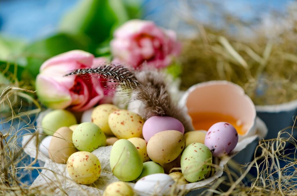 lay eggs
