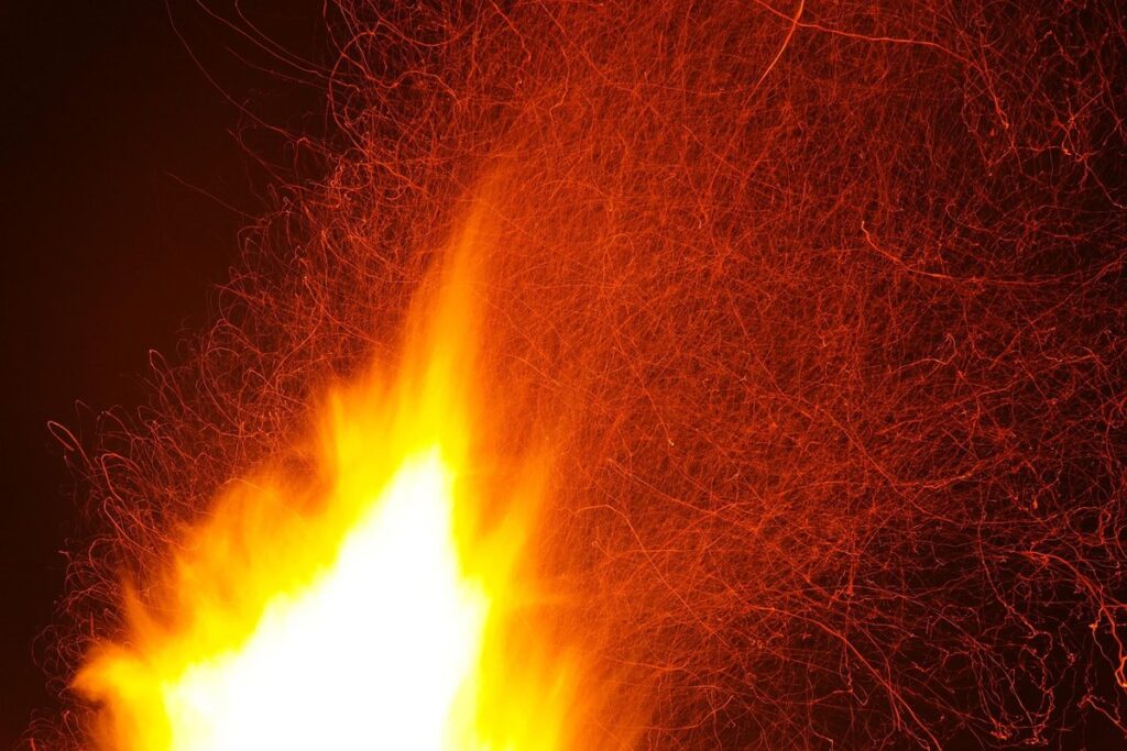 red heat bulb chickens
