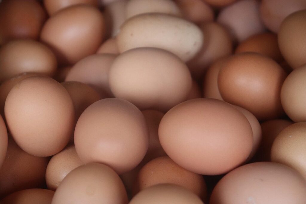 chicken egg production per year