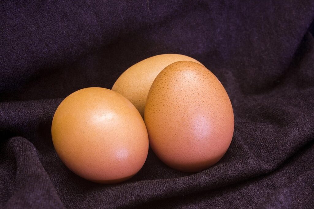 chicken egg fertility signs