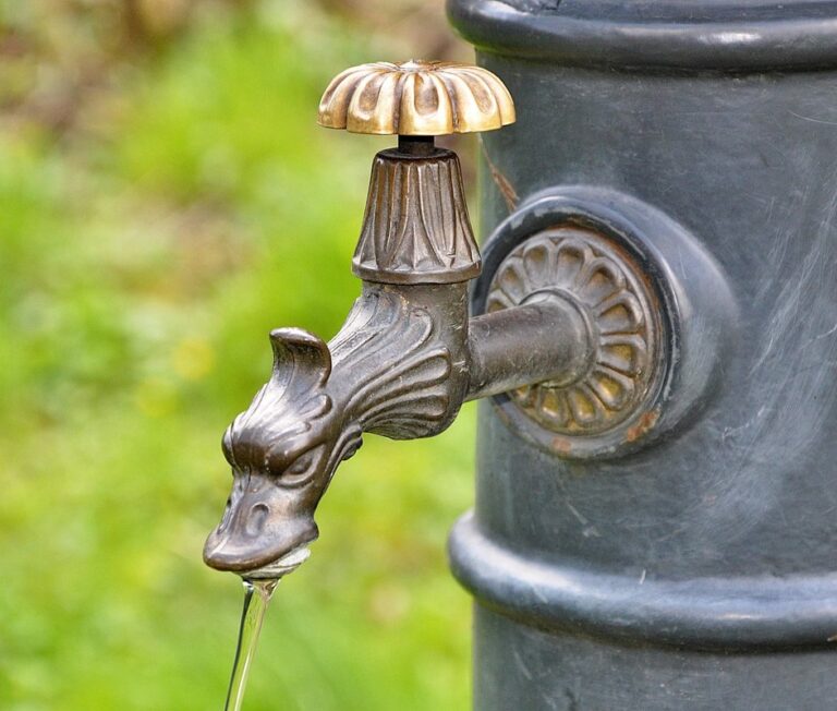 water consumption by chickens