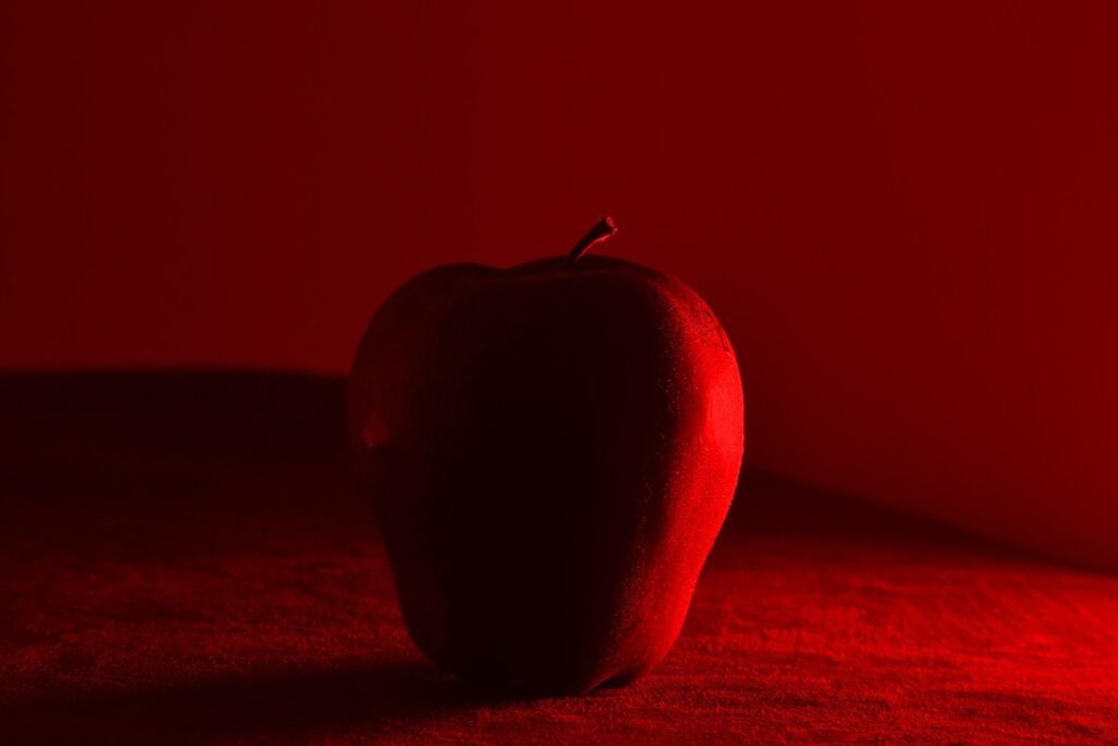 can chickens eat apples
