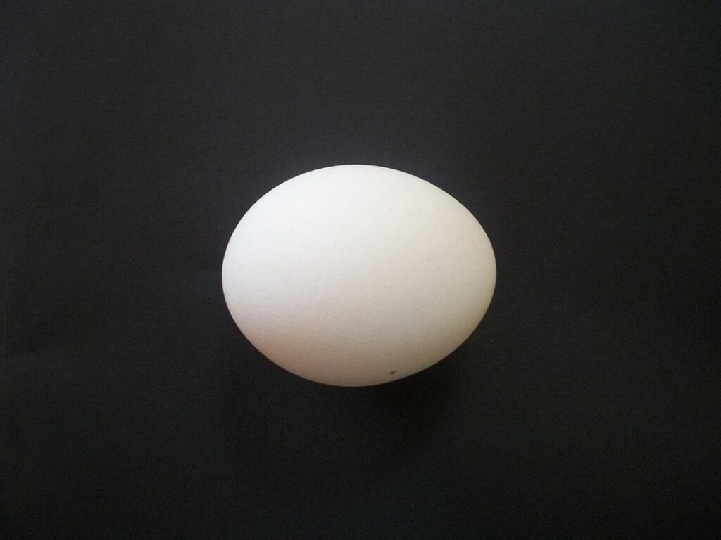 cleaning eggs before incubation