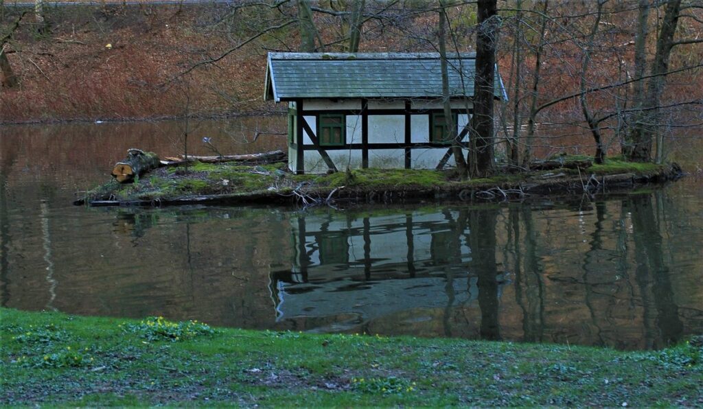 duck house