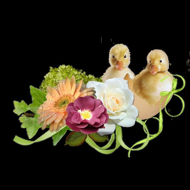 duckling eggs hatching