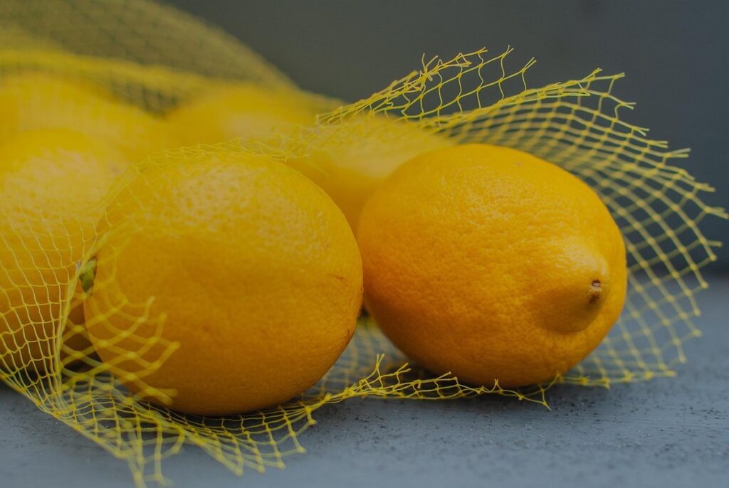 electric poultry netting safety