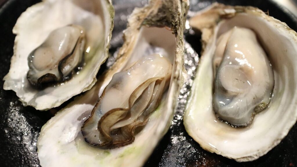 free choice oyster shell