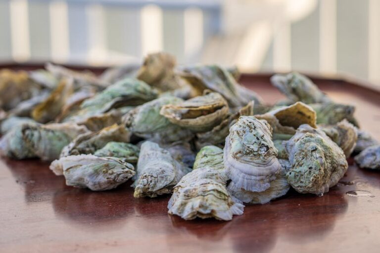 oyster shell vs grit