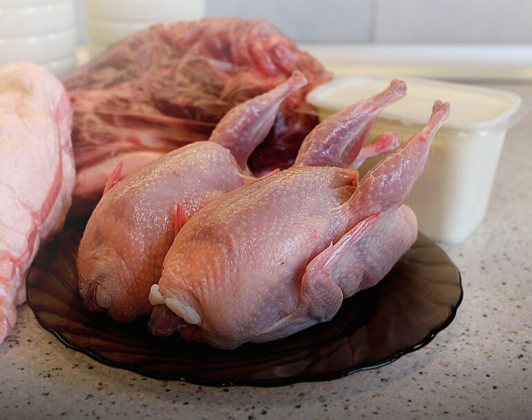 quail diet and nutrition