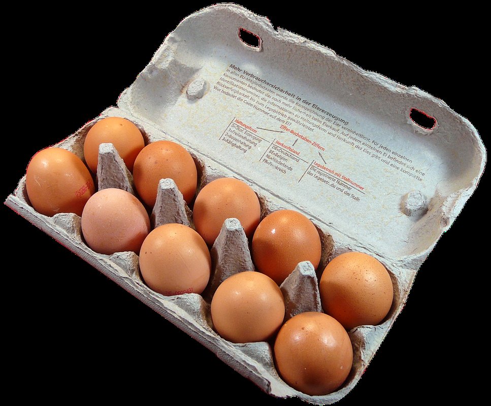Chicken egg boxes
