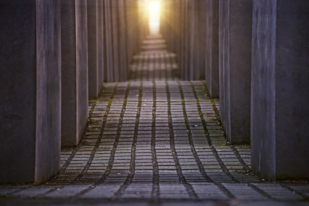 shade structures for chicken runs