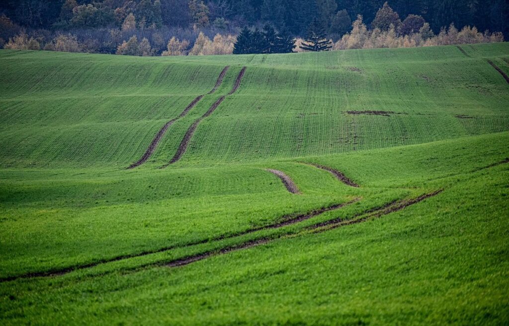 chicken tractor on pasture