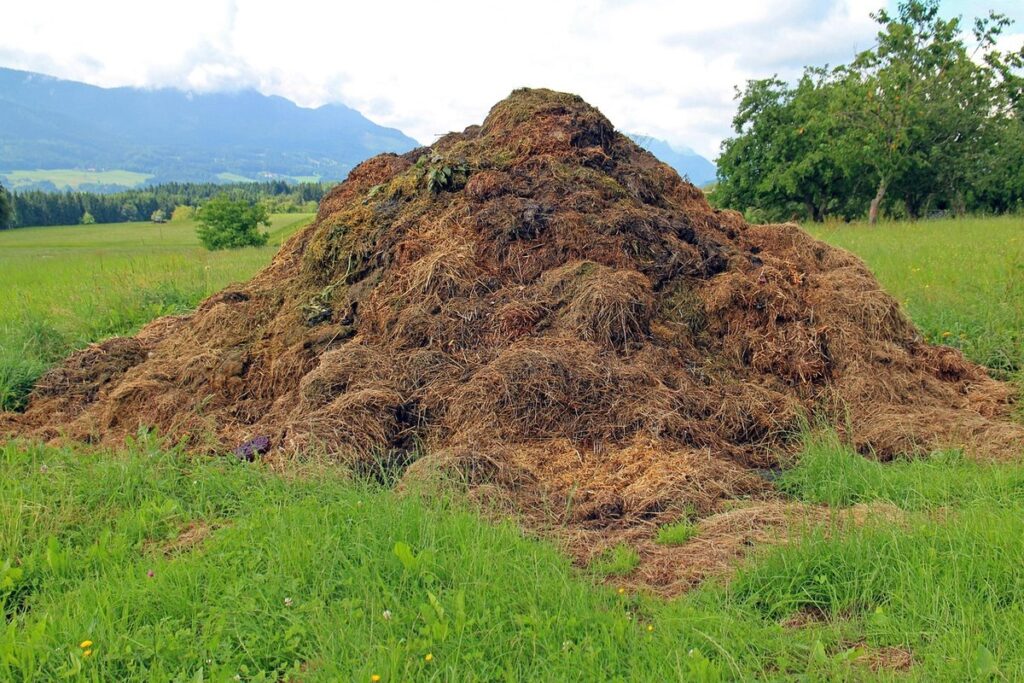 composting bedding and manure