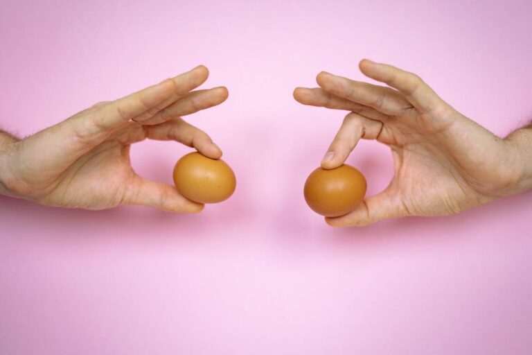 duck eggs versus chicken eggs