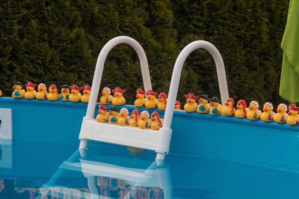 duck pool maintenance