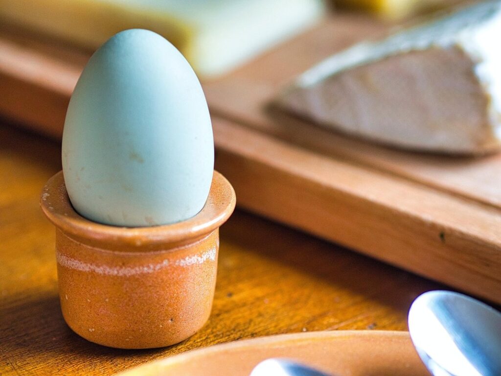 are eggs considered dairy