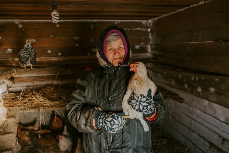 watering chickens in winter