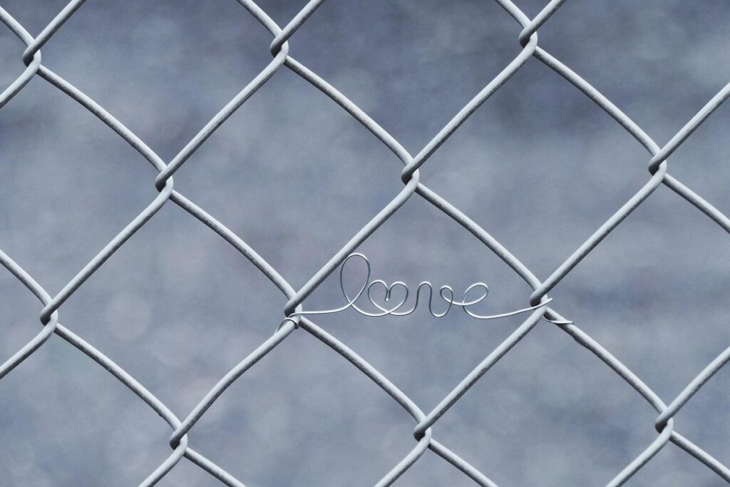 chicken wire vs welded wire fencing